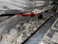 Программное отключение сажевого фильтра и клапана EGR на Mercedes GL420 CDI 306hp (Фото 2)