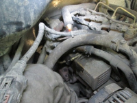Чип-тюнинг с отключением и механическим удалением клапана EGR на ГАЗ Газель Next Cummins 2,8 120hp (фото 10)
